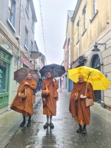 d98752dc-684c-41ed-bfc5-bfe53a65be76